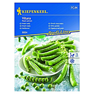 Kiepenkerl Zelenjavna semena graha Vitara (Pisum sativum, Čas žetve: Junij)