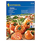 Kiepenkerl Zelenjavna semena mesnati paradižnik Ananas  (Solanum lycopersicum, Čas žetve: Julij) | 8127 - Feinsämereien in PG Marke | IBYA - Sämereien | IBY - Sämereien | IB - Grünpflanzen/Sämereien | I - Stadtgarten | BAUHAUS