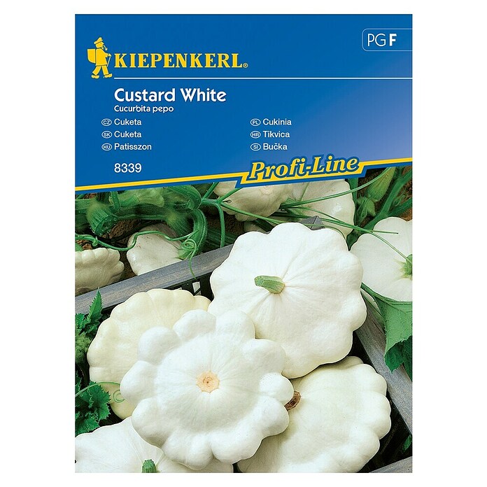 Kiepenkerl Zelenjavna semena bučke Custard White  (Cucurbita pepo, Čas žetve: Julij) | 8127 - Feinsämereien in PG Marke | IBYA - Sämereien | IBY - Sämereien | IB - Grünpflanzen/Sämereien | I - Stadtgarten | BAUHAUS