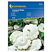 Kiepenkerl Zelenjavna semena bučke Custard White  (Cucurbita pepo, Čas žetve: Julij) | 8127 - Feinsämereien in PG Marke | IBYA - Sämereien | IBY - Sämereien | IB - Grünpflanzen/Sämereien | I - Stadtgarten | BAUHAUS