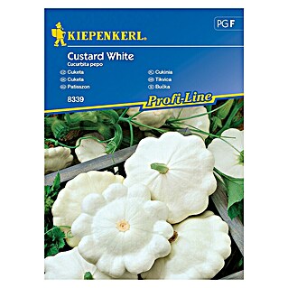 Kiepenkerl Sjeme povrća tikvica Custard White (Cucurbita pepo, Berba: Srpanj)