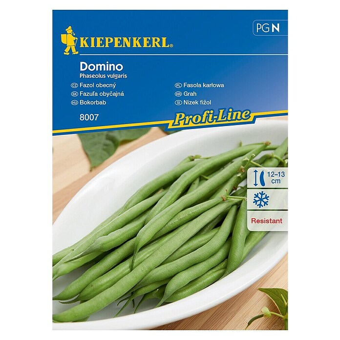 Kiepenkerl Sjeme povrća grah niski Domino  (Phaseolus vulgaris, Berba: Srpanj) | BAUHAUS