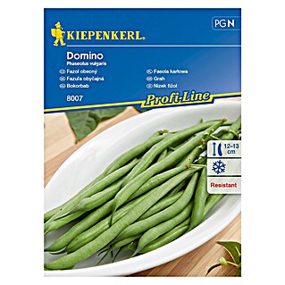 Kiepenkerl Sjeme povrća grah niski Domino (Phaseolus vulgaris, Berba: Srpanj)
