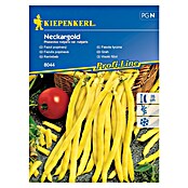 Kiepenkerl Sjeme povrća grah visoki Neckargold  (Phaseolus vulgaris var. vulgaris, Berba: Srpanj) | BAUHAUS