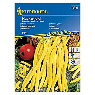 Kiepenkerl Zelenjavna semena visoki fižol Neckargold (Phaseolus vulgaris var. vulgaris, Čas žetve: Julij)