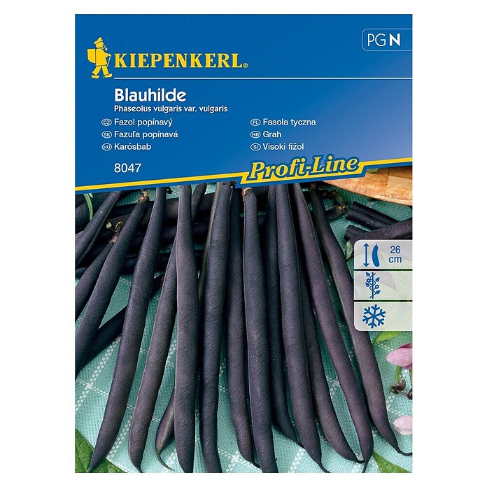 Kiepenkerl Sjeme povrća grah visoki Blauhilde  (Phaseolus vulgaris var. vulgaris, Berba: Srpanj) | BAUHAUS