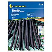Kiepenkerl Sjeme povrća grah visoki Blauhilde  (Phaseolus vulgaris var. vulgaris, Berba: Srpanj) | BAUHAUS