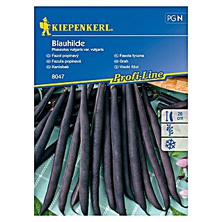 Kiepenkerl Zelenjavna semena visoki fižol Blauhilde (Phaseolus vulgaris var. vulgaris, Čas žetve: Julij)