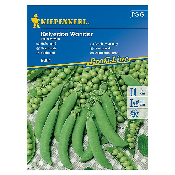 Kiepenkerl Sjeme povrća grašak Kelvendon Wonder  (Pisum sativum, Berba: Lipanj) | BAUHAUS