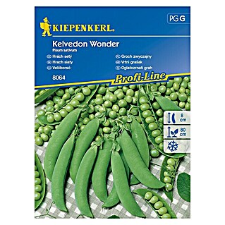 Kiepenkerl Zelenjavna semena oglatozrnati grah Kelvedon Wonder (Pisum sativum, Čas žetve: Junij)