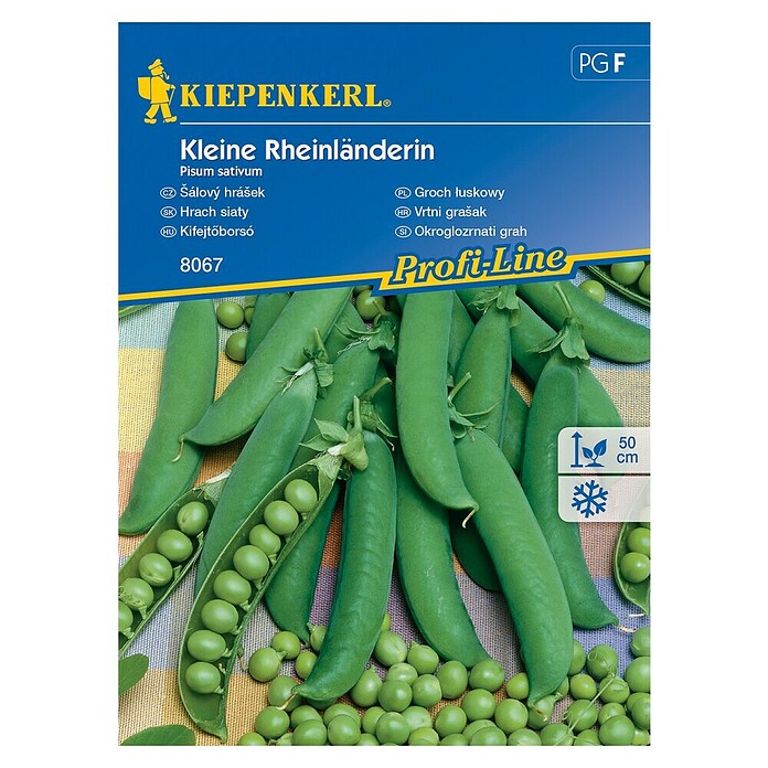 Kiepenkerl Sjeme povrća grašak Kleine Rheinländerin  (Pisum sativum, Berba: Lipanj) | BAUHAUS