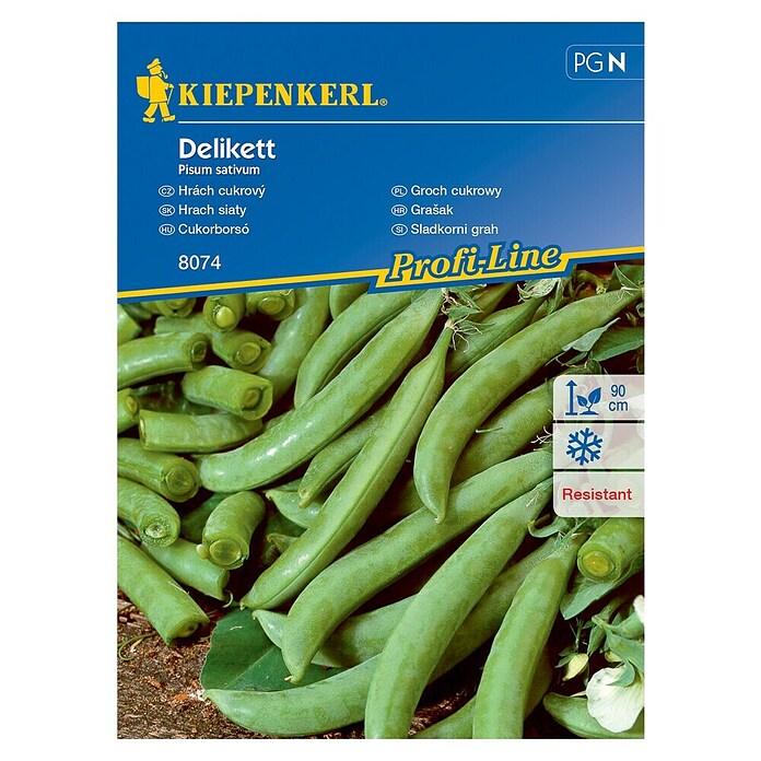 Kiepenkerl Sjeme povrća grašak Delikett  (Pisum sativum, Berba: Lipanj) | BAUHAUS