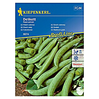 Kiepenkerl Sjeme povrća grašak Delikett (Pisum sativum, Berba: Lipanj)