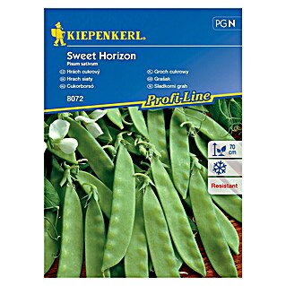 Kiepenkerl Sjeme povrća grašak zimski Sweet Horizon (Pisum sativum, Berba: Lipanj)