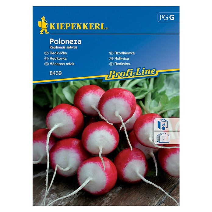 Kiepenkerl Sjeme povrća tikvica Poloneza  (Raphanus sativus, Berba: Ožujak, 10 m²) | BAUHAUS