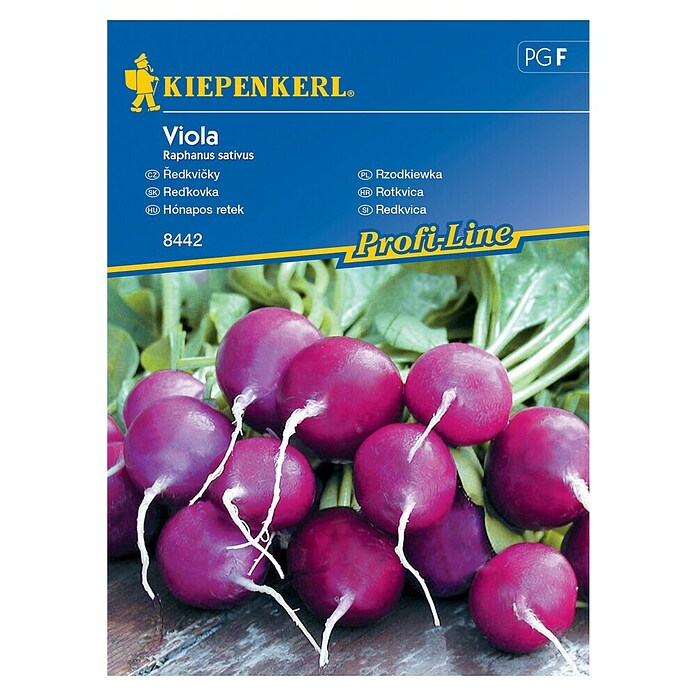 Kiepenkerl Sjeme povrća Rotkvica Viola  (Raphanus sativus, Berba: Travanj, 10 m²) | BAUHAUS