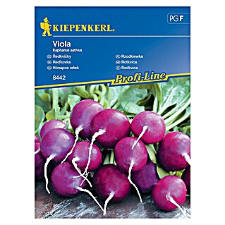 Kiepenkerl Sjeme povrća Rotkvica Viola (Raphanus sativus, Berba: Travanj, 10 m²)