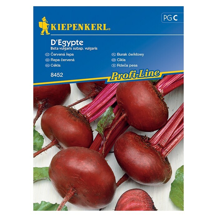 Kiepenkerl Sjeme povrća Cikla D'Egypte  (Beta vulgaris subsp. vulgaris, Berba: Srpanj) | BAUHAUS