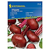 Kiepenkerl Sjeme povrća Cikla D'Egypte  (Beta vulgaris subsp. vulgaris, Berba: Srpanj) | BAUHAUS