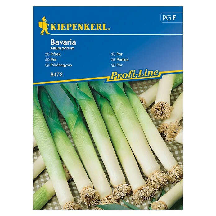 Kiepenkerl Sjeme povrća Poriluk Bavaria  (Allium porrum, Berba: Kolovoz) | BAUHAUS