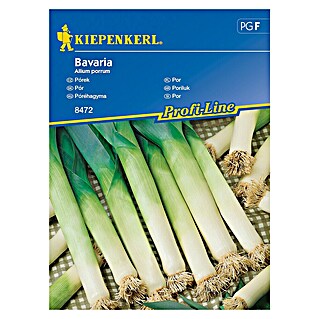 Kiepenkerl Sjeme povrća Poriluk Bavaria (Allium porrum, Berba: Kolovoz)