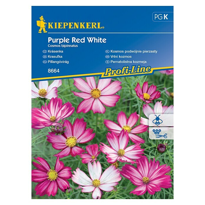 Kiepenkerl Profi-Line Sjeme cvijeća Cosmos  (Cosmos bipinnatus) | BAUHAUS