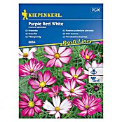 Kiepenkerl Profi-Line Sjeme cvijeća Cosmos  (Cosmos bipinnatus) | BAUHAUS