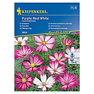 Kiepenkerl Profi-Line Sjeme cvijeća Cosmos (Cosmos bipinnatus)