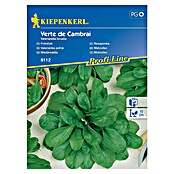Kiepenkerl Sjeme povrća matovilac Verte de Cambrai  (Valerianella locusta, Berba: Listopad) | BAUHAUS
