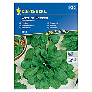 Kiepenkerl Sjeme povrća matovilac Verte de Cambrai (Valerianella locusta, Berba: Listopad)