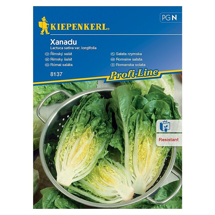 Kiepenkerl Zelenjavna semena solate Xanadu  (Lactuca sativa var. longifolia, Čas žetve: Maj) | 8127 - Feinsämereien in PG Marke | IBYA - Sämereien | IBY - Sämereien | IB - Grünpflanzen/Sämereien | I - Stadtgarten | BAUHAUS