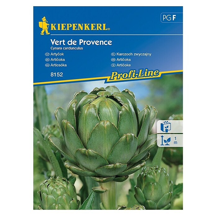 Kiepenkerl Zelenjavna semena artičoka Vert de Provence  (Cynara cardunculus, Čas žetve: September) | 8127 - Feinsämereien in PG Marke | IBYA - Sämereien | IBY - Sämereien | IB - Grünpflanzen/Sämereien | I - Stadtgarten | BAUHAUS