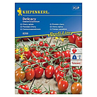Kiepenkerl Zelenjavna semena češnjev paradižnik Delicacy (Solanum lycopersicum, Čas žetve: Februar)