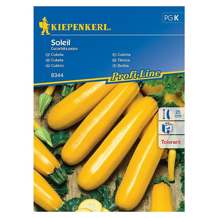 Kiepenkerl Sjeme povrća tikvica Soleil  (Cucurbita pepo, Berba: Srpanj) | BAUHAUS