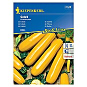 Kiepenkerl Sjeme povrća tikvica Soleil  (Cucurbita pepo, Berba: Srpanj) | BAUHAUS