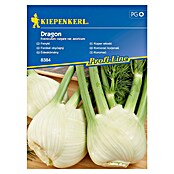 Kiepenkerl Zelenjavna semena koromač Dragon  (Foeniculum vulgare var. azoricum, Čas žetve: Julij) | 8127 - Feinsämereien in PG Marke | IBYA - Sämereien | IBY - Sämereien | IB - Grünpflanzen/Sämereien | I - Stadtgarten | BAUHAUS