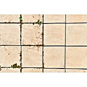 Ryobi ONE+ Limpiador de juntas de batería RY18PCA-0 (18 V, Iones de litio, Sin batería) | BAUHAUS