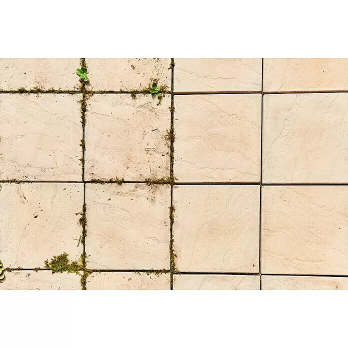Ryobi ONE+ Limpiador de juntas de batería RY18PCA-0 - 18 V, Iones de litio, Sin batería - Azulejos beige de exterior con musgo y pequeñas plantas verdes creciendo en las juntas.