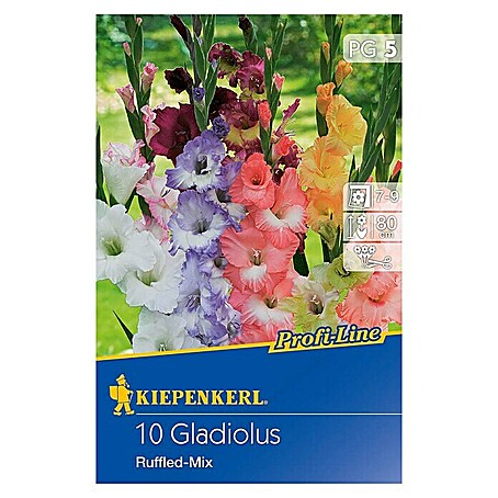 Kiepenkerl Sommerblumenzwiebeln Schwertblume (Gladiolus x hybrida 'Ruffled-Mix', 10 Stk.)