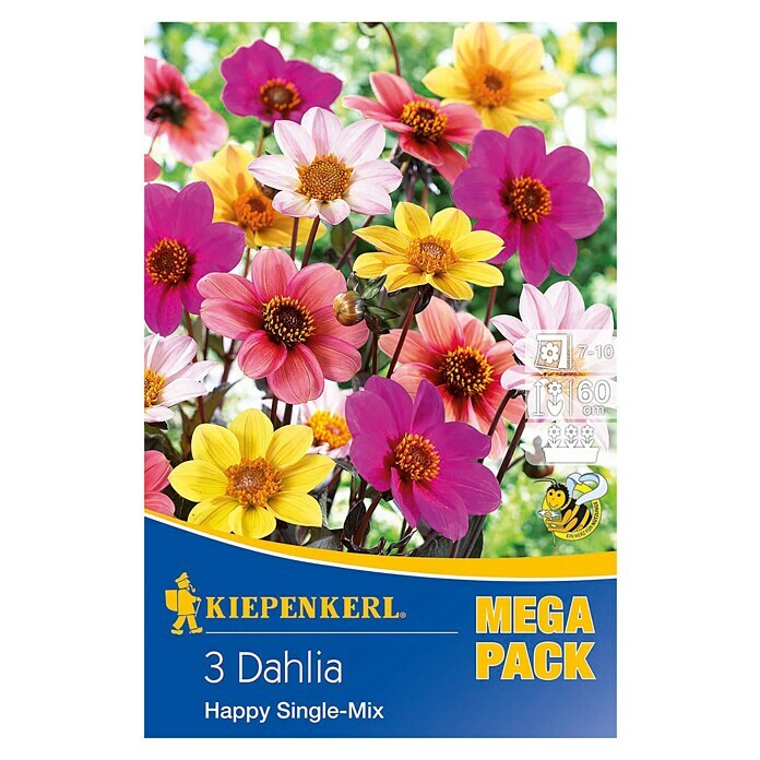 Kiepenkerl Sjeme cvijeća dalija Happy  (Dahlia x Hybrida, Raznobojno) | BAUHAUS
