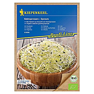 Kiepenkerl Profi-Line Zelenjavna semena BIO čebula za kaljenje (Allium cepa, Čas žetve: Vse leto)