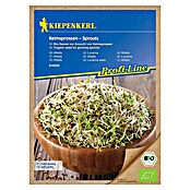 Kiepenkerl Profi-Line Semena Bio alfalfa kalčki  (Alfalfa, Čas setve: Vse leto) | 8127 - Feinsämereien in PG Marke | IBYA - Sämereien | IBY - Sämereien | IB - Grünpflanzen/Sämereien | I - Stadtgarten | BAUHAUS