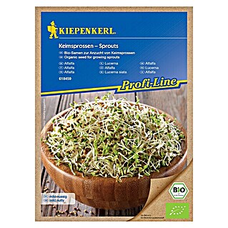 Kiepenkerl Profi-Line Semena Bio alfalfa kalčki (Alfalfa, Čas setve: Vse leto)