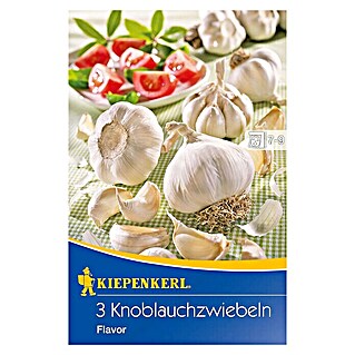 Kiepenkerl Knoblauch Flavor (Botanische Bezeichnung: Allium sativum)