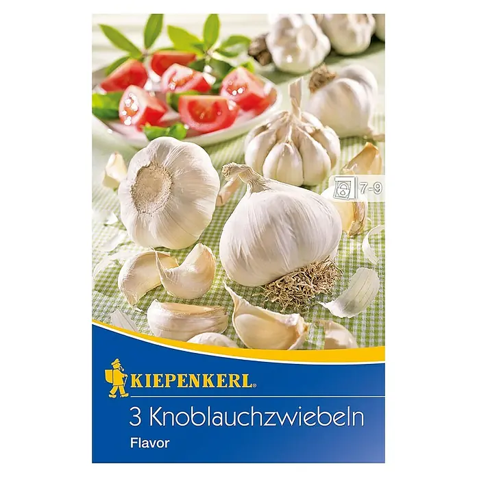 Kiepenkerl Knoblauch Flavor -  - Knoblauchzwiebeln der Marke Kiepenkerl. Drei Knoblauchzwiebeln, ideal für die Aromatisierung von Speisen mit ihrem intensiven Geschmack.