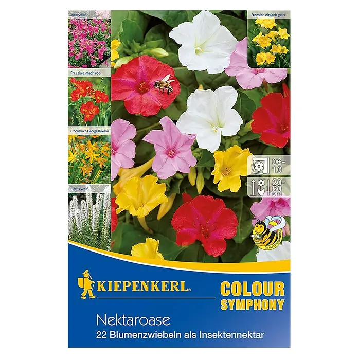 Kiepenkerl Sommerblumenzwiebel-Mix Nektaroase - Verschiedene sorten, 22 Stk. - Farbsinfonie Nektaroase Blumenzwiebeln: Farbenfrohe Mischung für einen insektenfreundlichen Garten, mit verschiedenen Blühpflanzen und Wachstumshöhen.