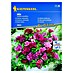 Kiepenkerl Profi-Line Cvetlična semena Godetia grandiflora Mix 