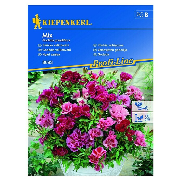 Kiepenkerl Profi-Line Cvetlična semena Godetia grandiflora Mix  (Godetia grandiflora, Rdeča, Roza) | 8127 - Feinsämereien in PG Marke | IBYA - Sämereien | IBY - Sämereien | IB - Grünpflanzen/Sämereien | I - Stadtgarten | BAUHAUS