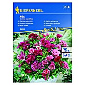 Kiepenkerl Profi-Line Cvetlična semena Godetia grandiflora Mix  (Godetia grandiflora, Rdeča, Roza) | 8127 - Feinsämereien in PG Marke | IBYA - Sämereien | IBY - Sämereien | IB - Grünpflanzen/Sämereien | I - Stadtgarten | BAUHAUS