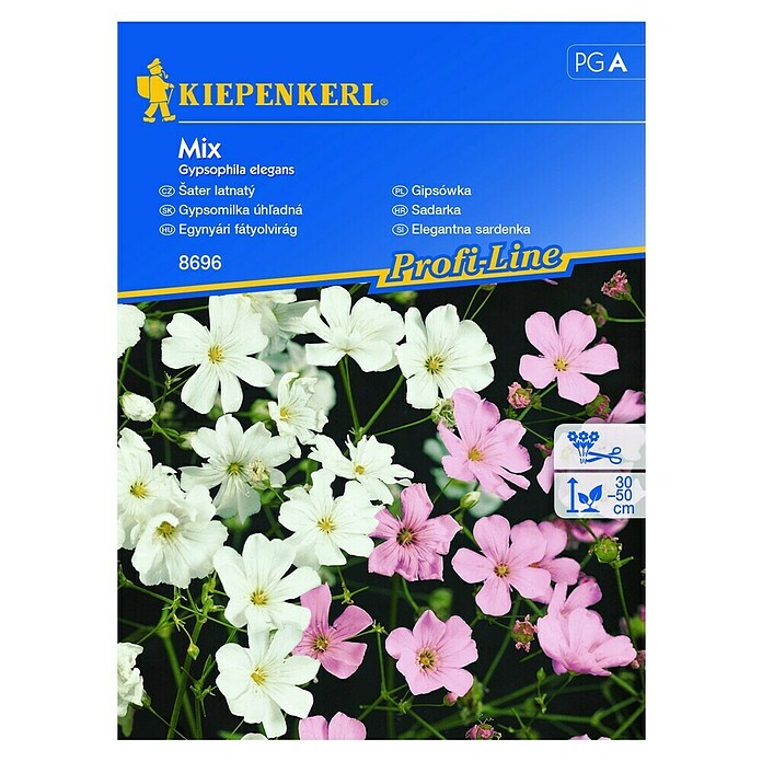 Kiepenkerl Profi-Line Cvetlična semena Elegantna sardenka  (Gypsophila elegans, Bela, Roza) | 8127 - Feinsämereien in PG Marke | IBYA - Sämereien | IBY - Sämereien | IB - Grünpflanzen/Sämereien | I - Stadtgarten | BAUHAUS